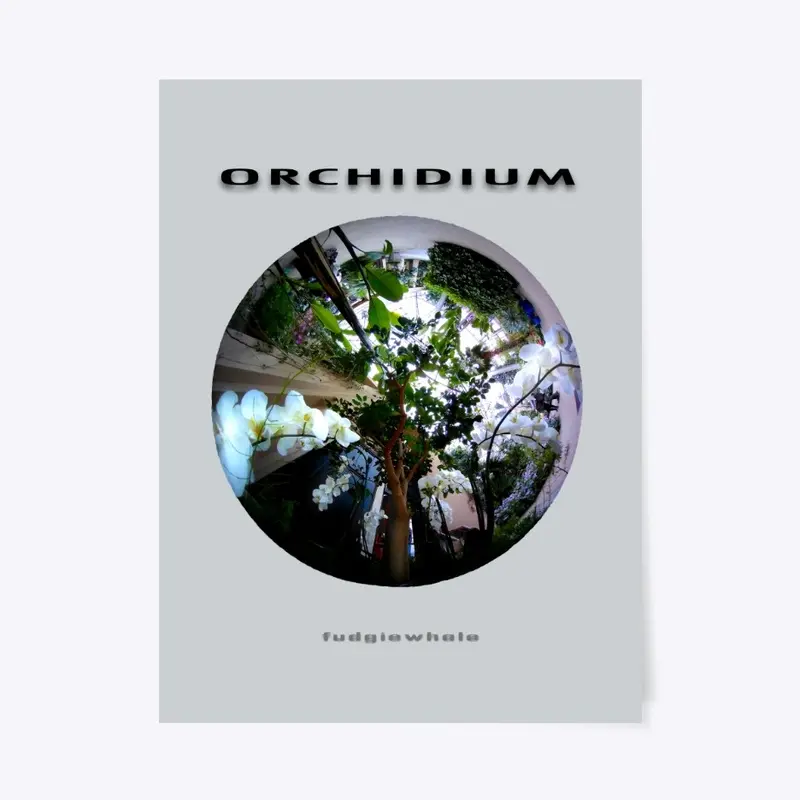 Orchidium